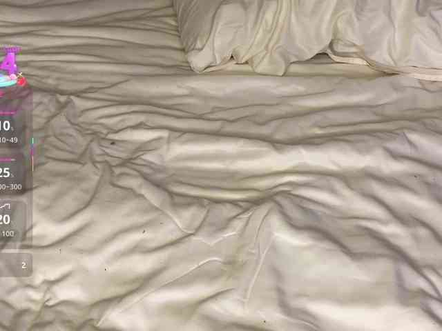Lisansia