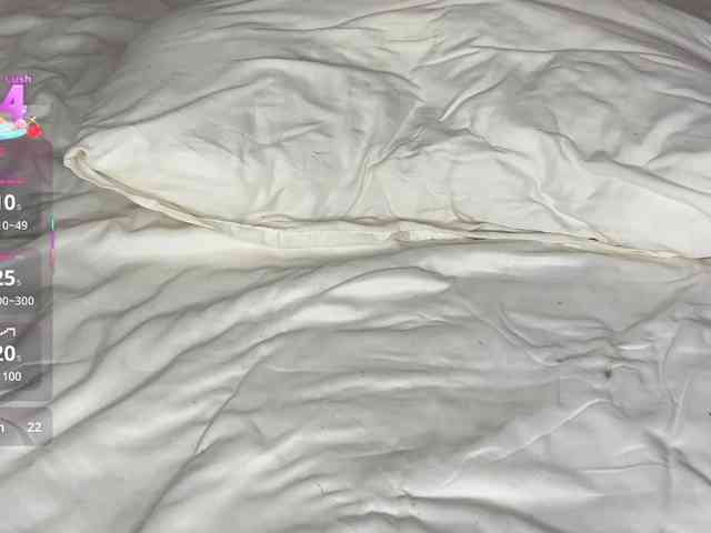 Lisansia webcam