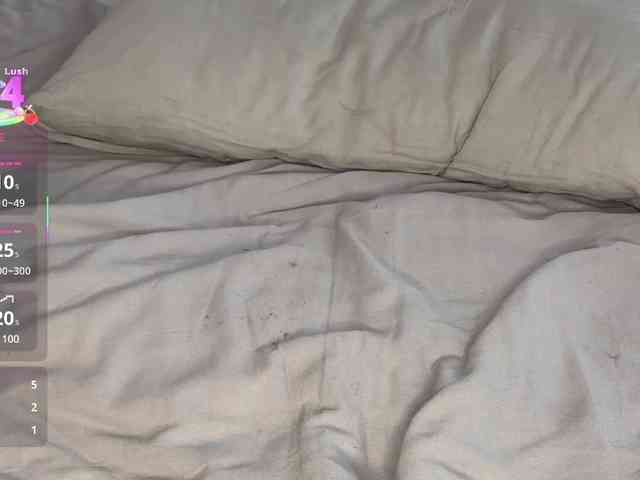 Lisansia webcam