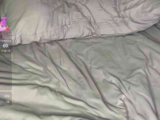 Lisansia webcam
