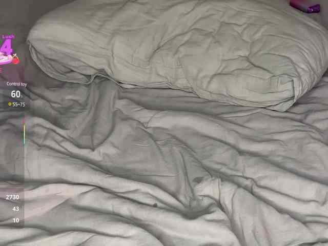 Lisansia webcam