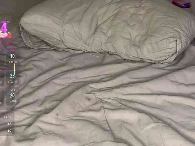 Lisansia webcam