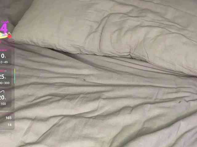 Lisansia webcam