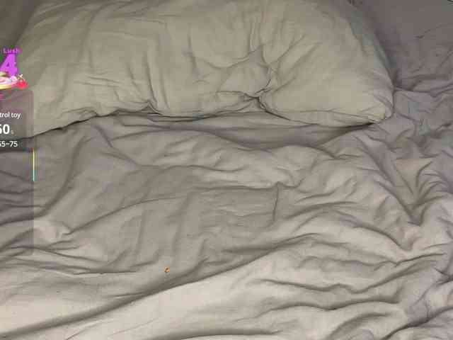 Lisansia webcam