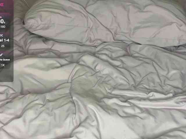 Lisansia webcam
