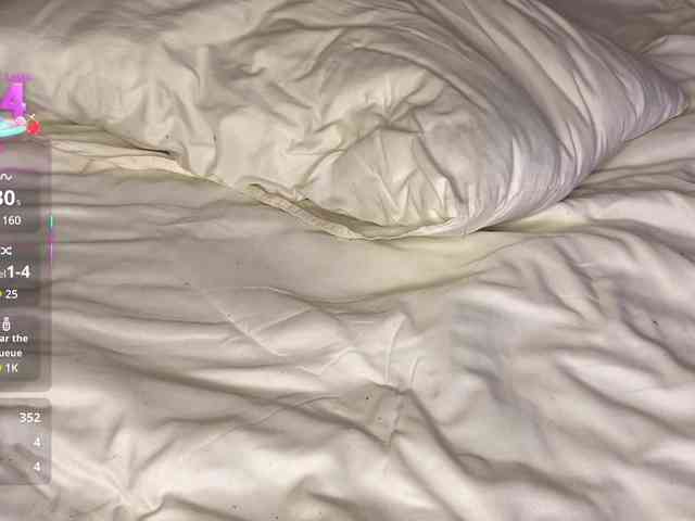 Lisansia webcam