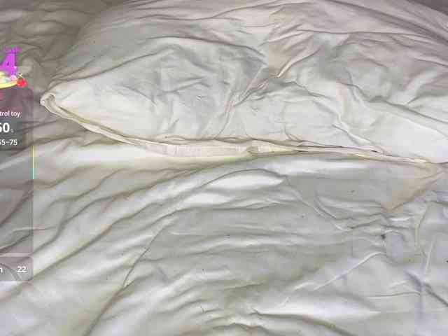 Lisansia webcam