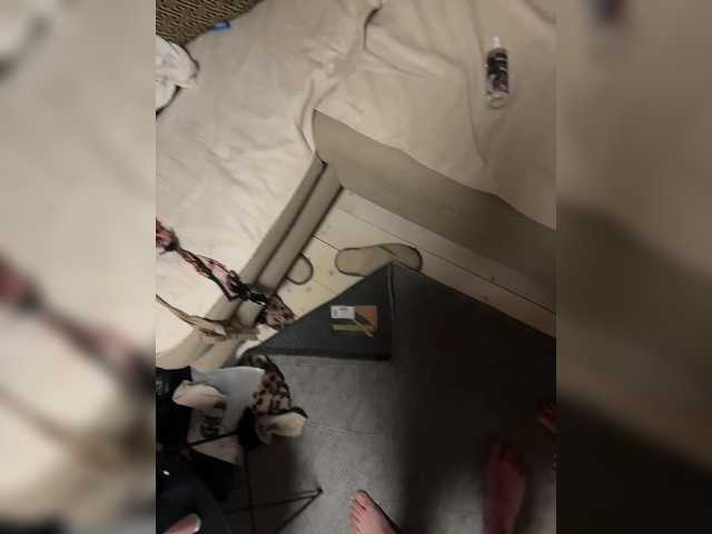 Darby115 – webcam model profile photo