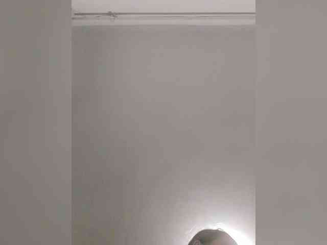 S-O-F-I-A webcam