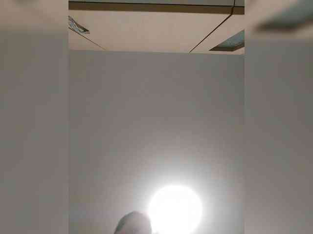 S-O-F-I-A webcam