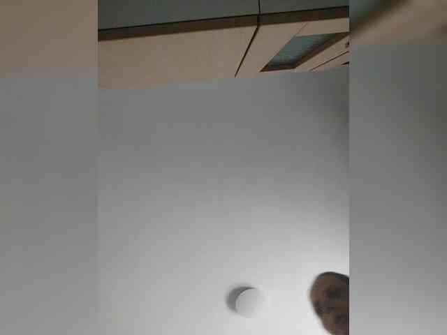 S-O-F-I-A webcam