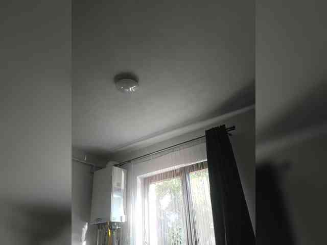 S-O-F-I-A webcam