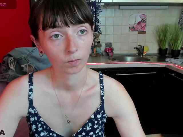KathelinBrik webcam