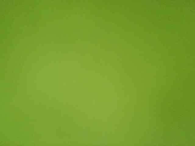 VeraMartini webcam