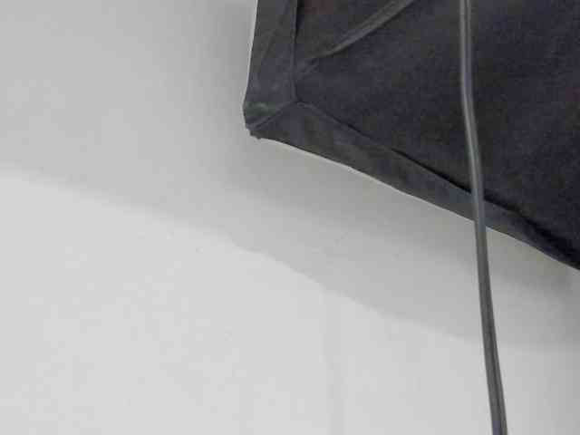 Sophiietaylor webcam