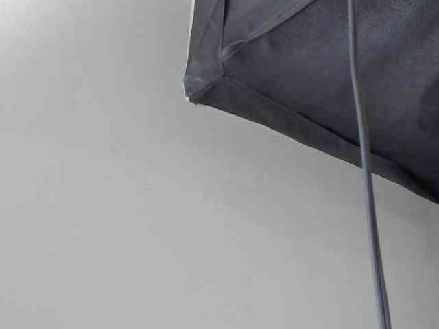 Sophiietaylor webcam