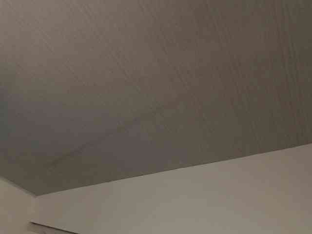 Kity-hot webcam