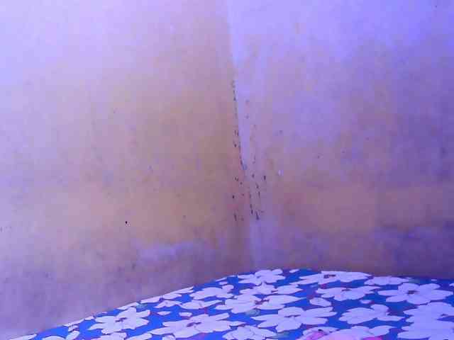 SweetMonlight webcam