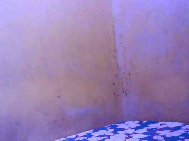 SweetMonlight webcam