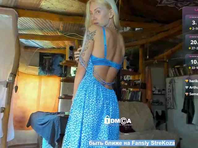 StreKozaaaaa webcam