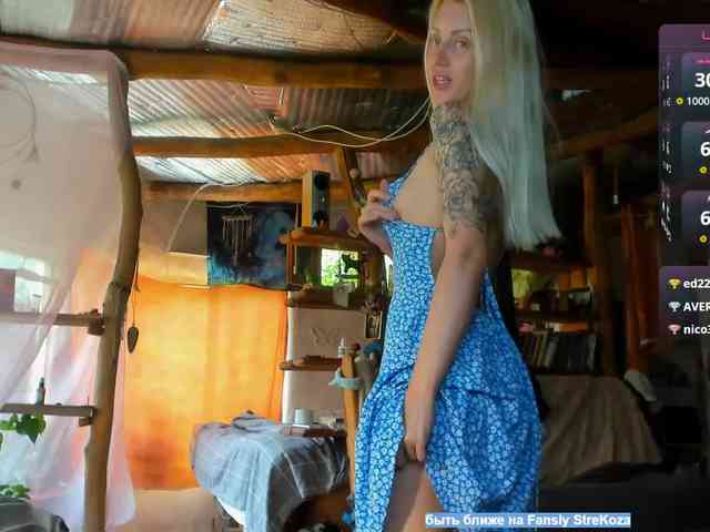 StreKozaaaaa webcam