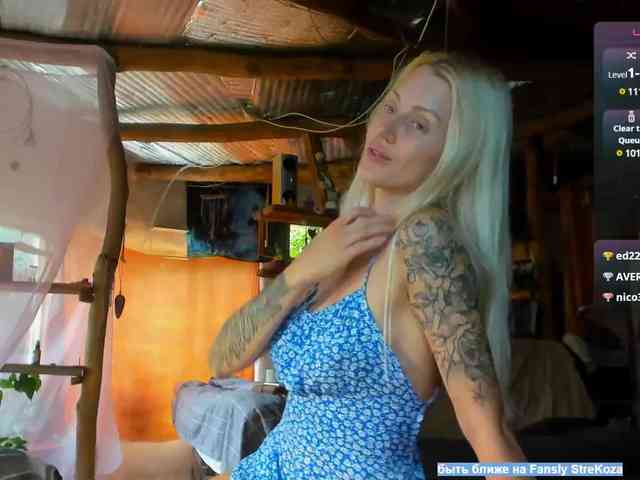 StreKozaaaaa webcam