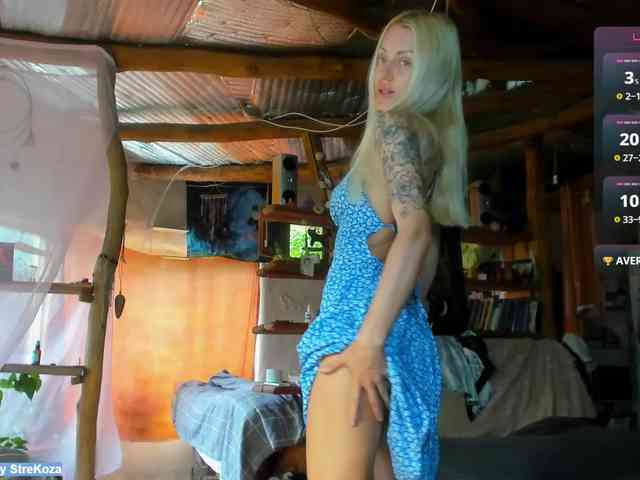 StreKozaaaaa webcam
