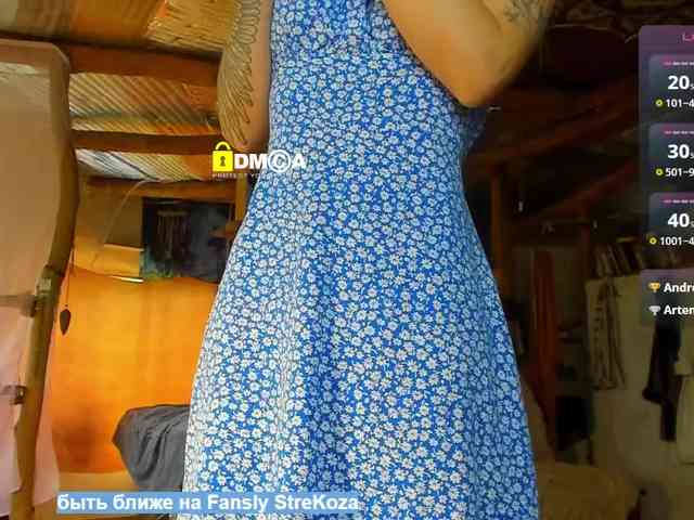StreKozaaaaa webcam