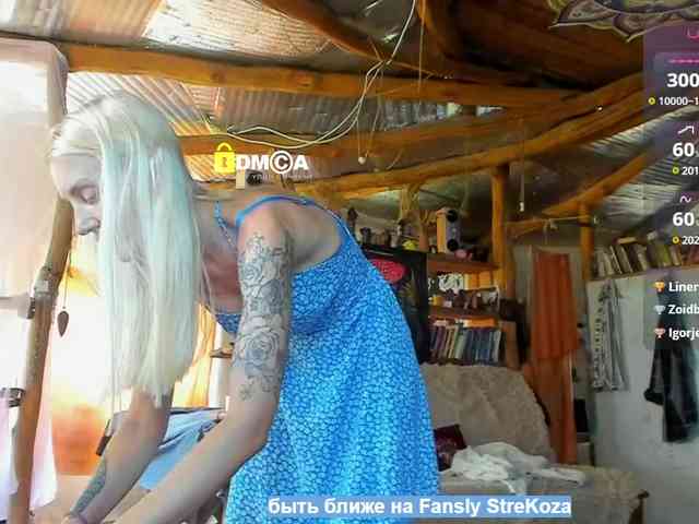 StreKozaaaaa webcam