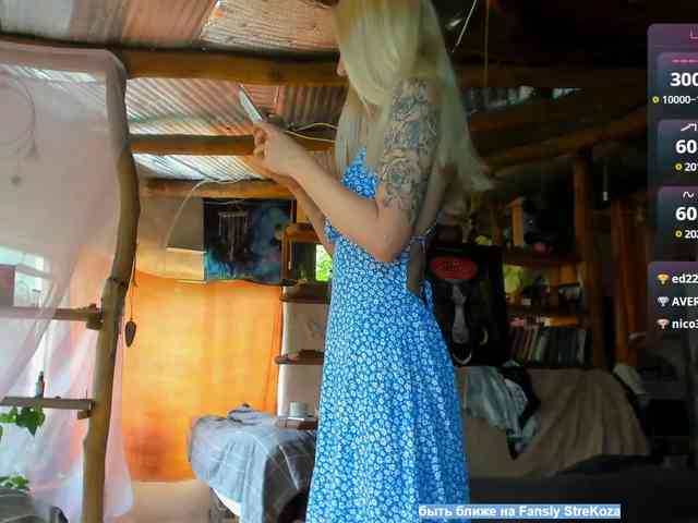 StreKozaaaaa webcam