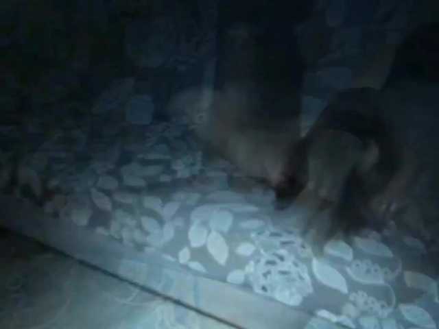 DiaFoxi Live Cam on BongaCams