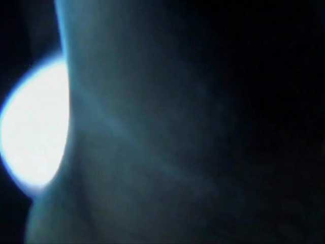 DiaFoxi's BongaCams show and profile