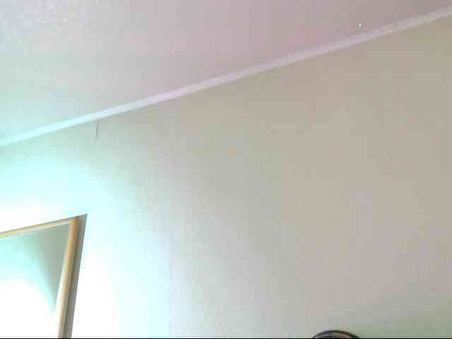 DiaFoxi webcam