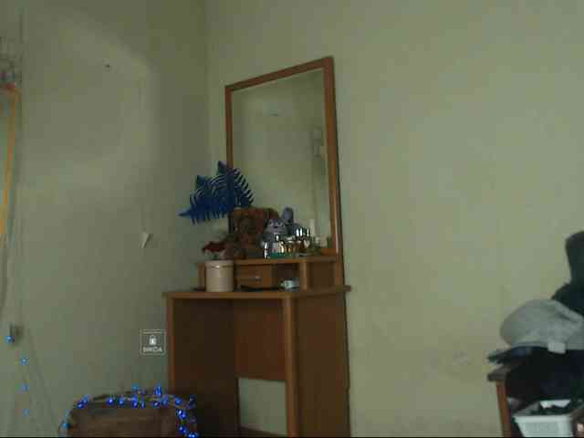 DiaFoxi webcam
