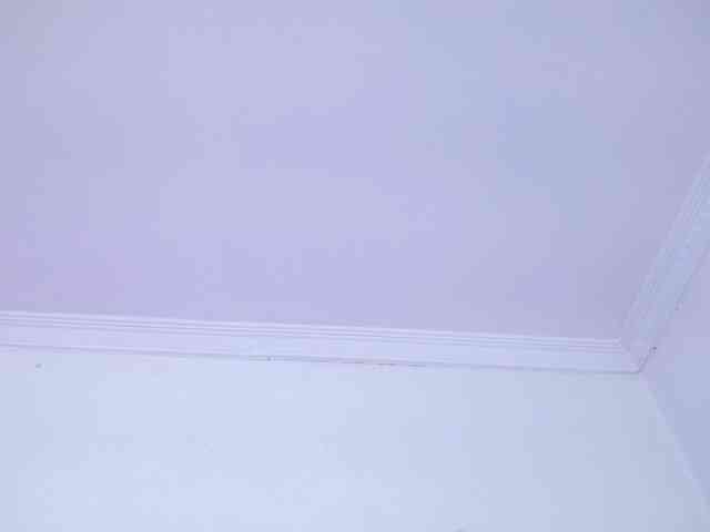 Jessica-Kraft webcam