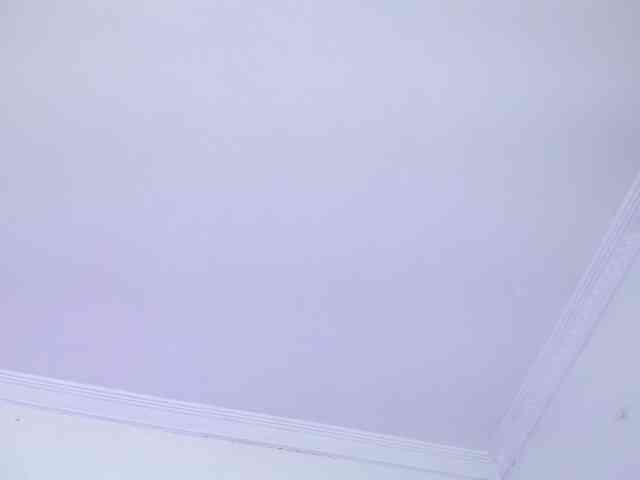 Jessica-Kraft webcam