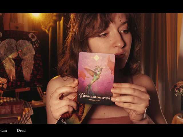 WebCora's BongaCams show and profile