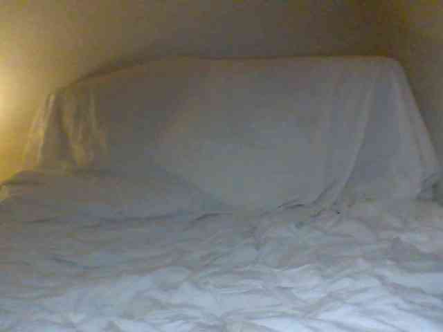 cindyvong webcam