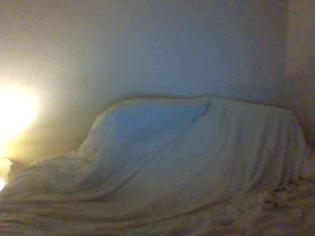 cindyvong webcam