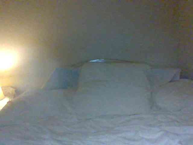 cindyvong webcam