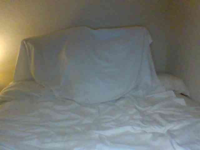 cindyvong webcam