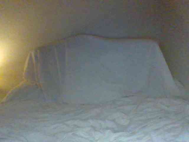 cindyvong webcam
