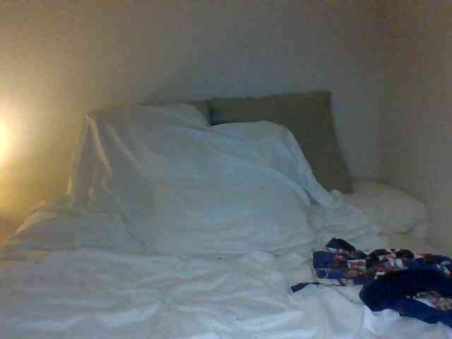 cindyvong webcam