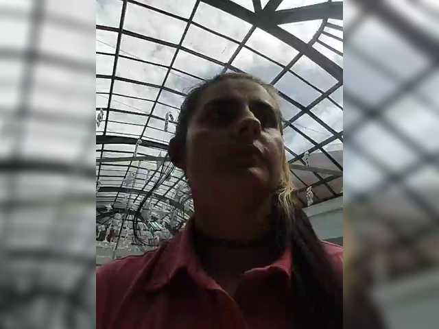 Preview of theplayful