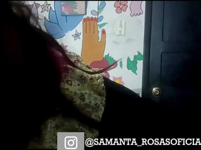 Preview of theplayful