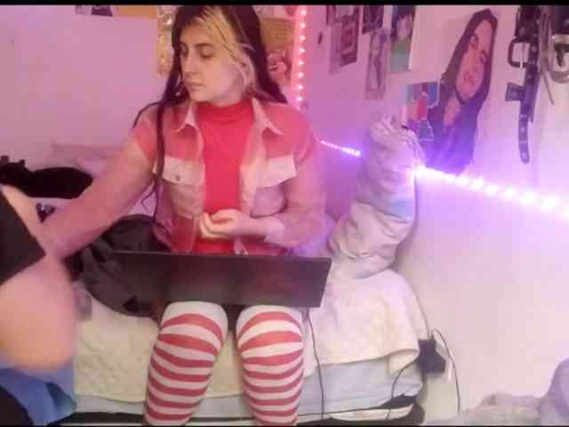 theplayful webcam