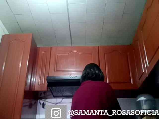 theplayful webcam