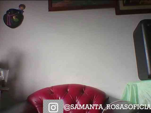 theplayful webcam