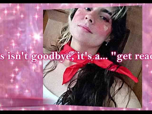 theplayful webcam