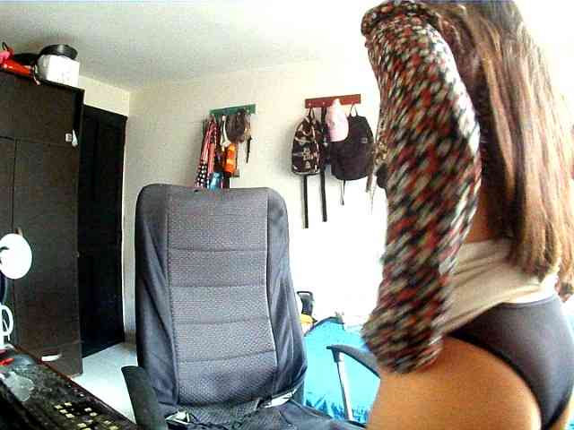 theplayful webcam